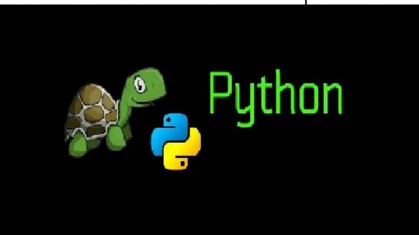 Основы библиотеки Turtle на Python