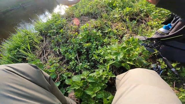 Хариус 15.05.2021 смотреть онлайн