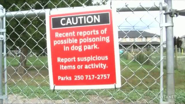 BT Vancouver: Kelowna Dog Poisoning Possibles смотреть онлайн