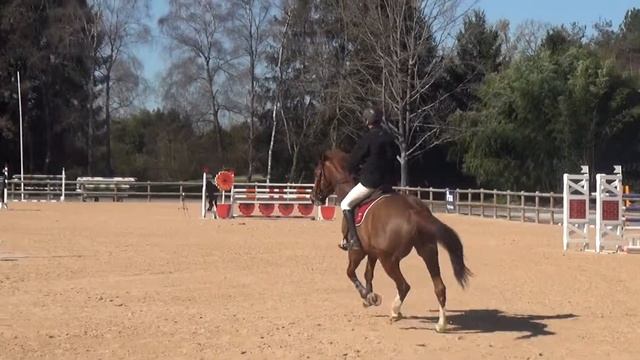 Sibeau pau 2016 смотреть онлайн