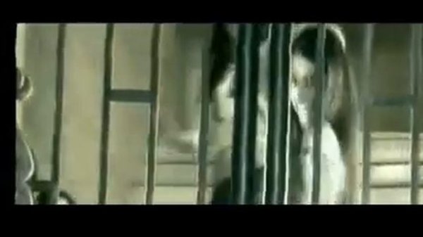 JAHONGIR OTAJONOV - AYOL MAKRI | Жахонгир Отажонов - Айол макри