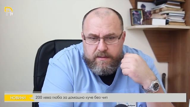 200 лева глоба за домашно куче без чип смотреть онлайн