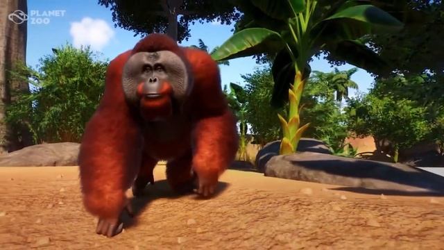 ORANGUTAN ANNOUNCED! Planet Zoo Update News смотреть онлайн