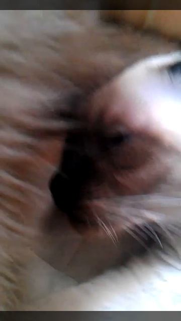 Тайский массаж