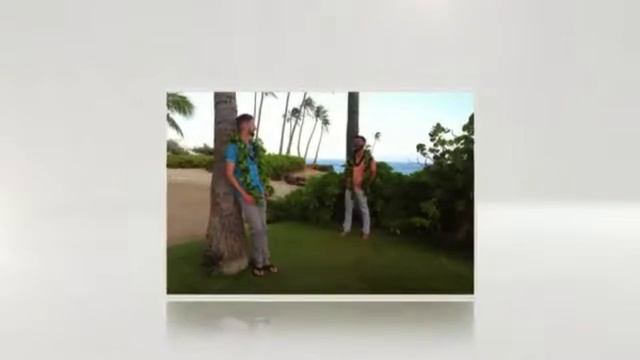 Doug & Dingo's Wedding смотреть онлайн