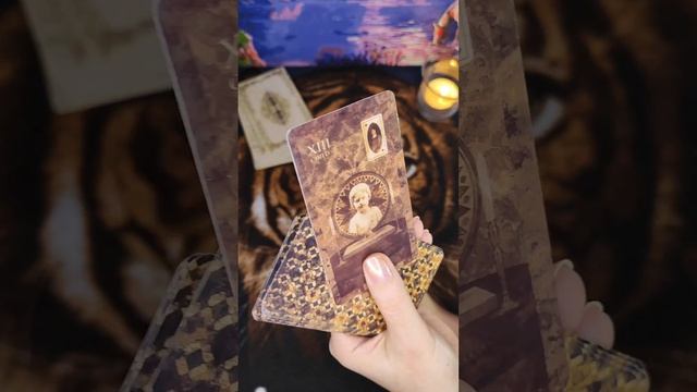 #картадня #ленорман смотреть онлайн