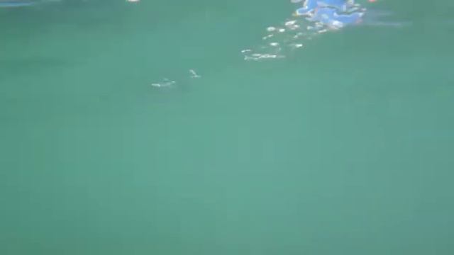 PLAYA PINEDO - VALENCIA GRUPO PADDLE SURF - TEO TV смотреть онлайн