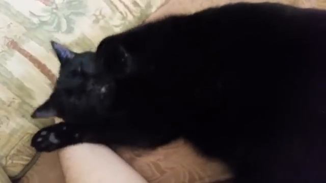 Churro смотреть онлайн