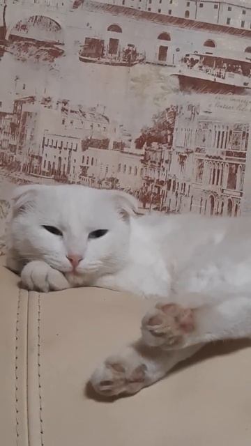 Деловая. смотреть онлайн