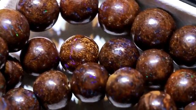 Visit Our OPALS At Www.trueblueopals.com @trueblueopals