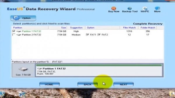 Recover Data with EaseUS Data Recovery Wizard Professional
