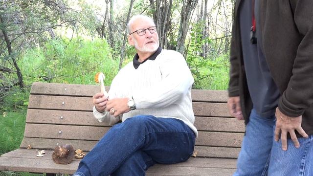 Wetland Fungi Demystified смотреть онлайн