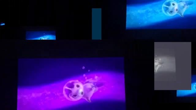 Not quite narwhal theme song colorful смотреть онлайн