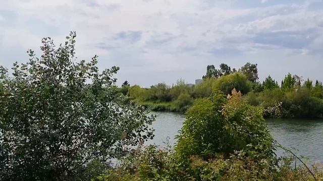 Сочи. Сириус. Орнитологический парк. Места и достопримечательности Сочи. смотреть онлайн