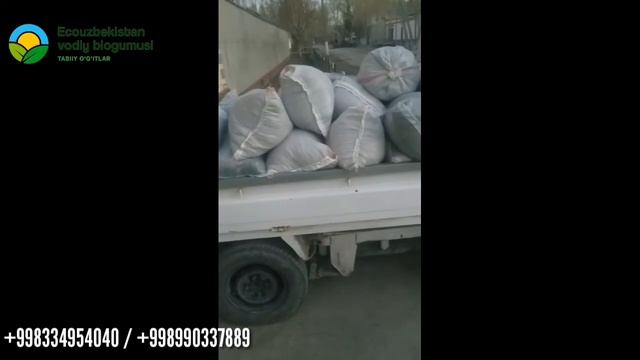 MARG‘ILONGA 1 TONNA BIOGUMUS JO‘NATILDI. +998334954040/+998990337889 смотреть онлайн