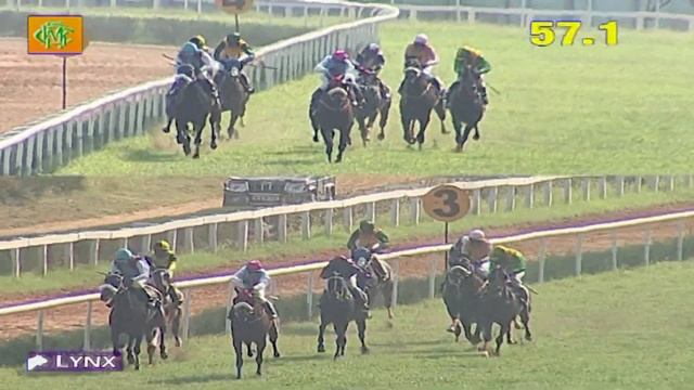 Fatboyslim with P Sai Kumar up wins The Astral Flash Plate Div 2 2020 смотреть онлайн