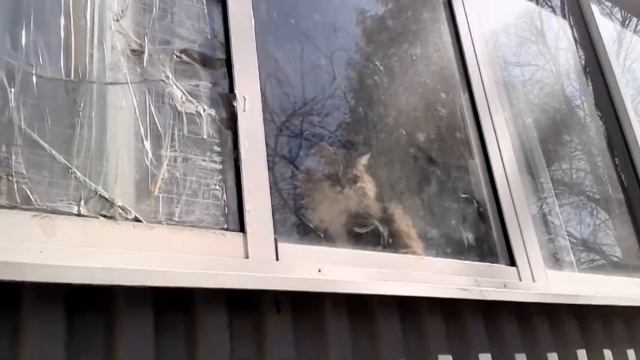 Выйди погулять, любимая! смотреть онлайн