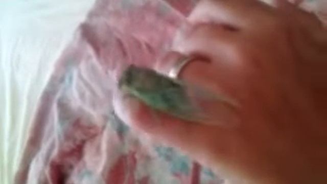 Nevaeh look. Its the cicada/locust fully hatched смотреть онлайн