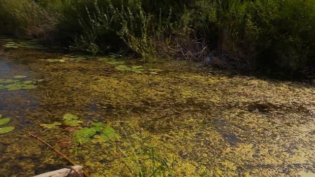 Осень смотреть онлайн