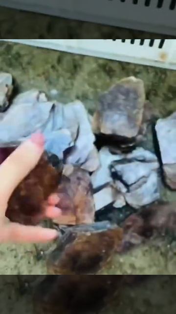 Lepidolite specimen. смотреть онлайн