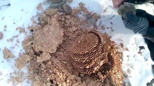 VID 20171220 131646 смотреть онлайн
