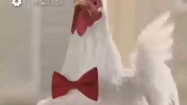 Петух смотреть онлайн