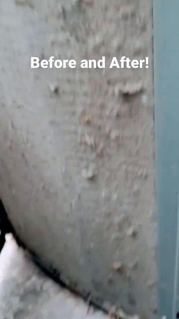 Ants in the contactor and a super dirty condenser coil! Before and after смотреть онлайн