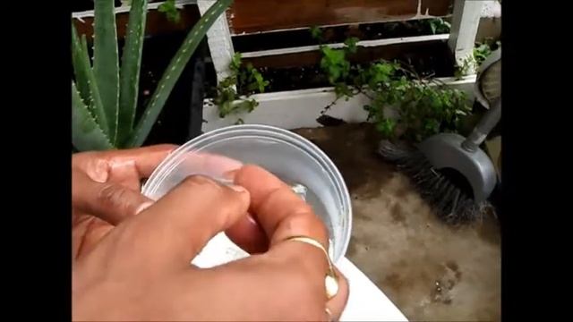 DIY Rose Aloevera Glycerin Olive Wrinkles Less Skin Care Moisturizer at Home смотреть онлайн