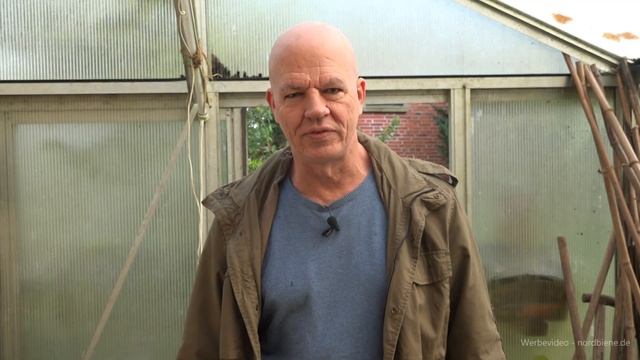 Bienenbaum: Samenernte Tetradium daniellii - Samen zu verschenken - Bienenweide смотреть онлайн