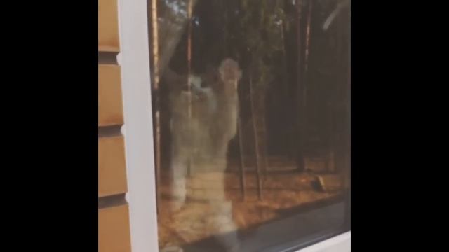 барабанщик вася