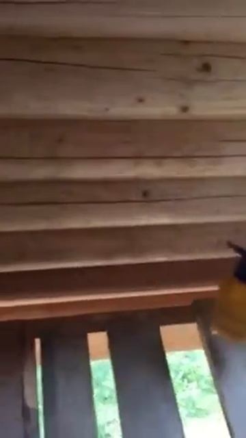 Видеоотзыв о деревозащите Pinotex Base смотреть онлайн