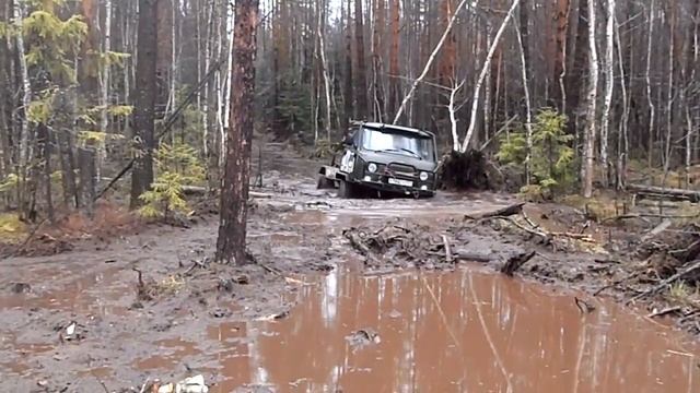 Енот Трофи 2016(1) смотреть онлайн