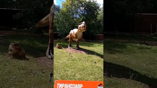 Дино-парк. Динозавры всех видов. смотреть онлайн