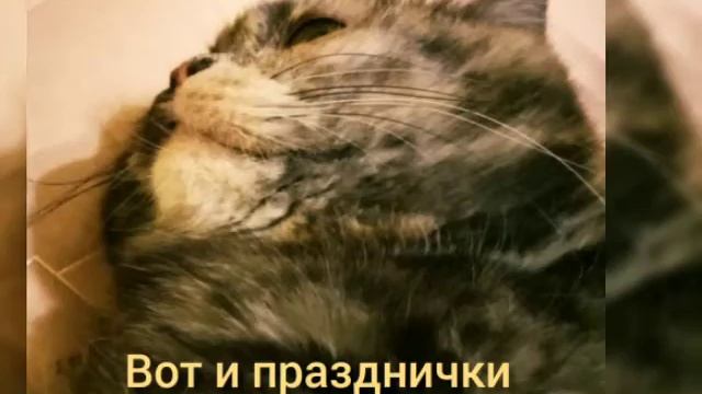 21 февраля 2021 г. смотреть онлайн