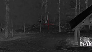 Охота на кабана с вышки 22.02.2025г. - 26 С