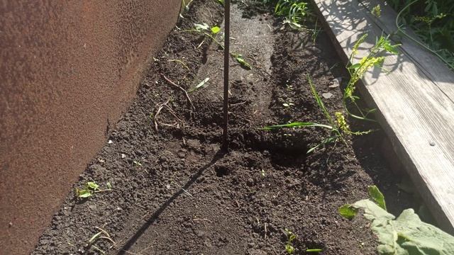 добыча червей электричеством (220вольт)