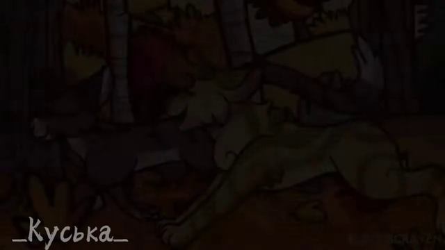 🌸 Коты-Воители | Равнодушие 🌸 смотреть онлайн