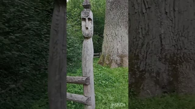 МАГИЧЕСКОЕ МЕСТО В ЛЕСУ смотреть онлайн