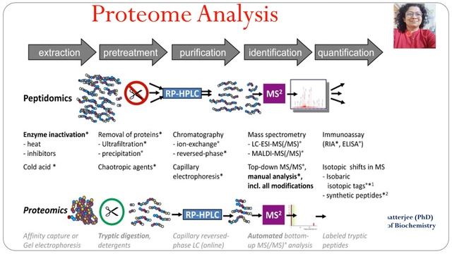 Proteomics: Part 4 смотреть онлайн
