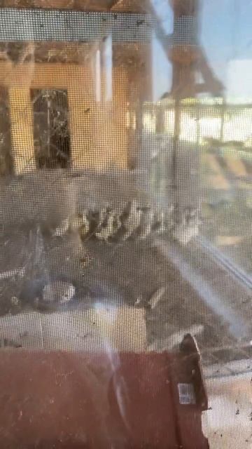 #гуси новый отряд 2200700980481872 реквизиты для помощи, спасибо что помогаете 🙂