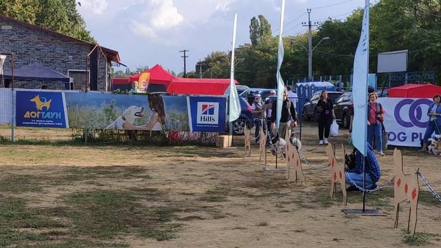 Приходько Елена и Трикси смотреть онлайн