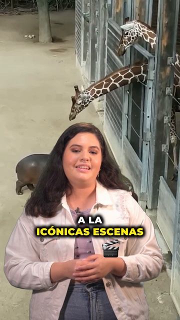 MADAGASCAR EN LA VIDA REAL 😲 #TelemetroNews #shorts смотреть онлайн