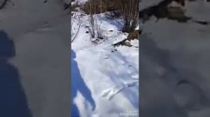 Посёлок Ягодное, Магаданская область