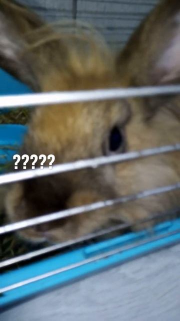 ??? смотреть онлайн