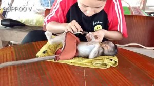 Mom help cut Nail for Baby Monkey Janny