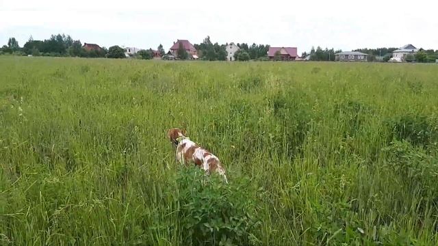 Ошибся, не смог доработать. смотреть онлайн