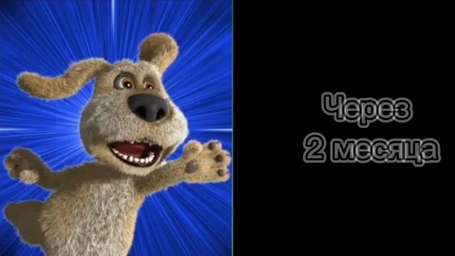 Когда разбанят ТикТок... смотреть онлайн