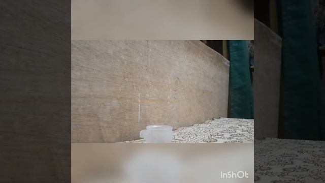 PAKAN / NEKTAR BURUNG KOLIBRI PALING MUDAH & GA RIBET !!! смотреть онлайн