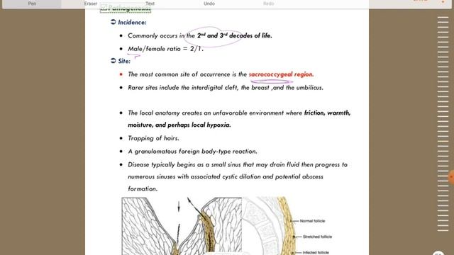 Colon surgery revision смотреть онлайн