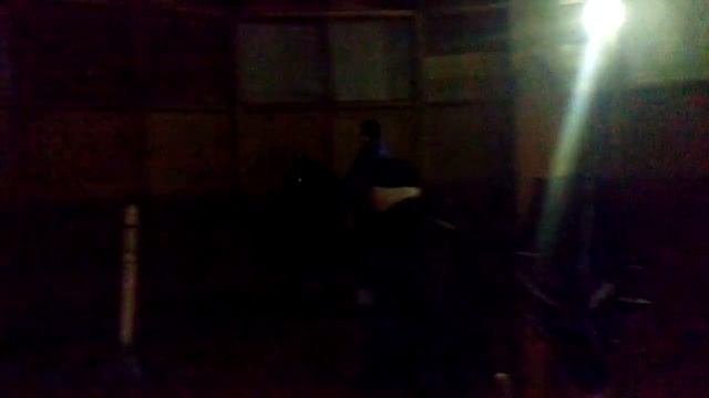 Кеша под всадником